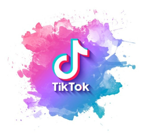 La politique sur TikTok